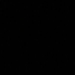 Meet your Posher, Jackson